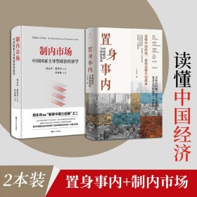 置身事内+制内市场