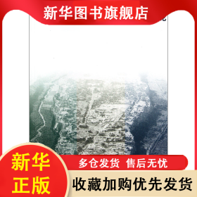 中國建筑遺產(chǎn)保護(hù)基礎(chǔ)理論/高校建筑類專業(yè)參考書系 林源 9787112138715 中國建筑工業(yè)