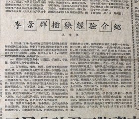 广西日报1959年4月2日
《李景群一人插秧顶六人~蒼梧三万插秧手猛赶李景群》李景群插秧经验介绍≈王倩仪《巩固祖国统一和民族团结是我国各族人民的根本利益≈严正》关于民族问题的语录。《背叛祖国就是背叛本民族利益≈赛福鼎》