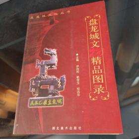 盘龙城文物精品图录