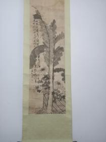 清代画家古州主人芭蕉菊花条幅。106/36