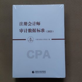 注册会计师审计数据标准(2023)
