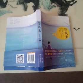 等风来