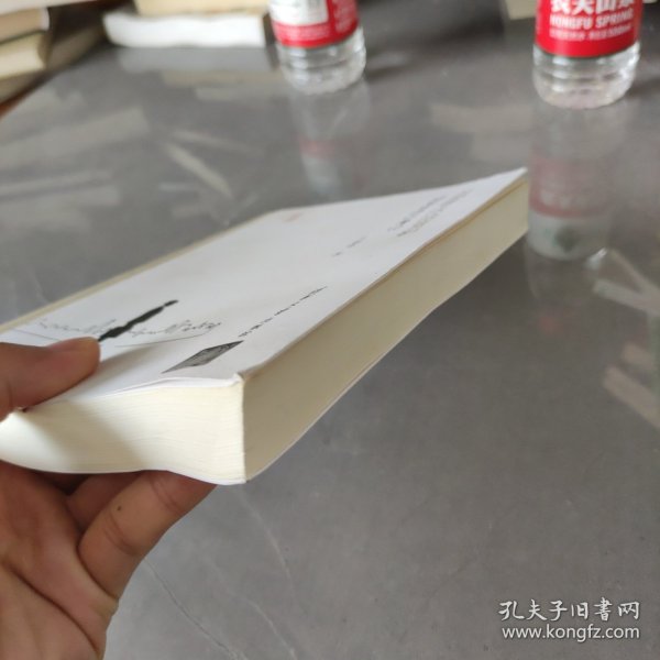 芝加哥法治剪影：检察官西行漫记/写意法治
