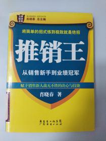 推销王:从销售新手到业绩冠军