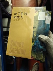 镜子里的陌生人