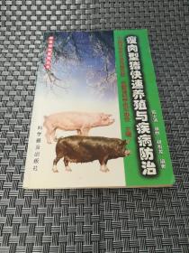 瘦肉型猪快速养殖与疾病防治