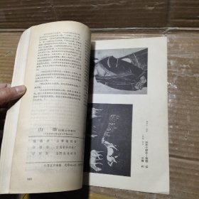 山茶 民族文学季刊1981【2】