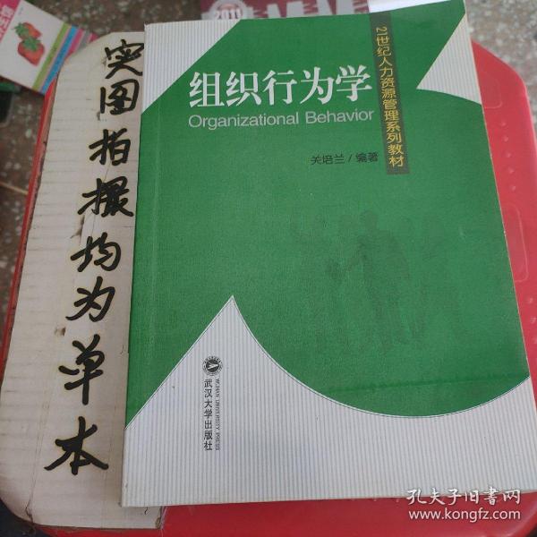 21世纪人力资源管理系列教材：组织行为学