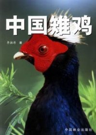 中国雉鸡