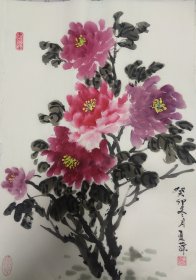 牡丹花5