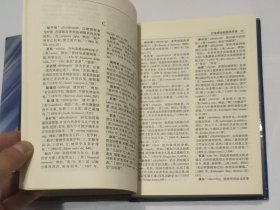 近现代汉语新词词源词典