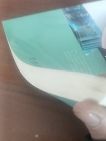 直击新课程学科教学疑难丛书：中小学信息技术