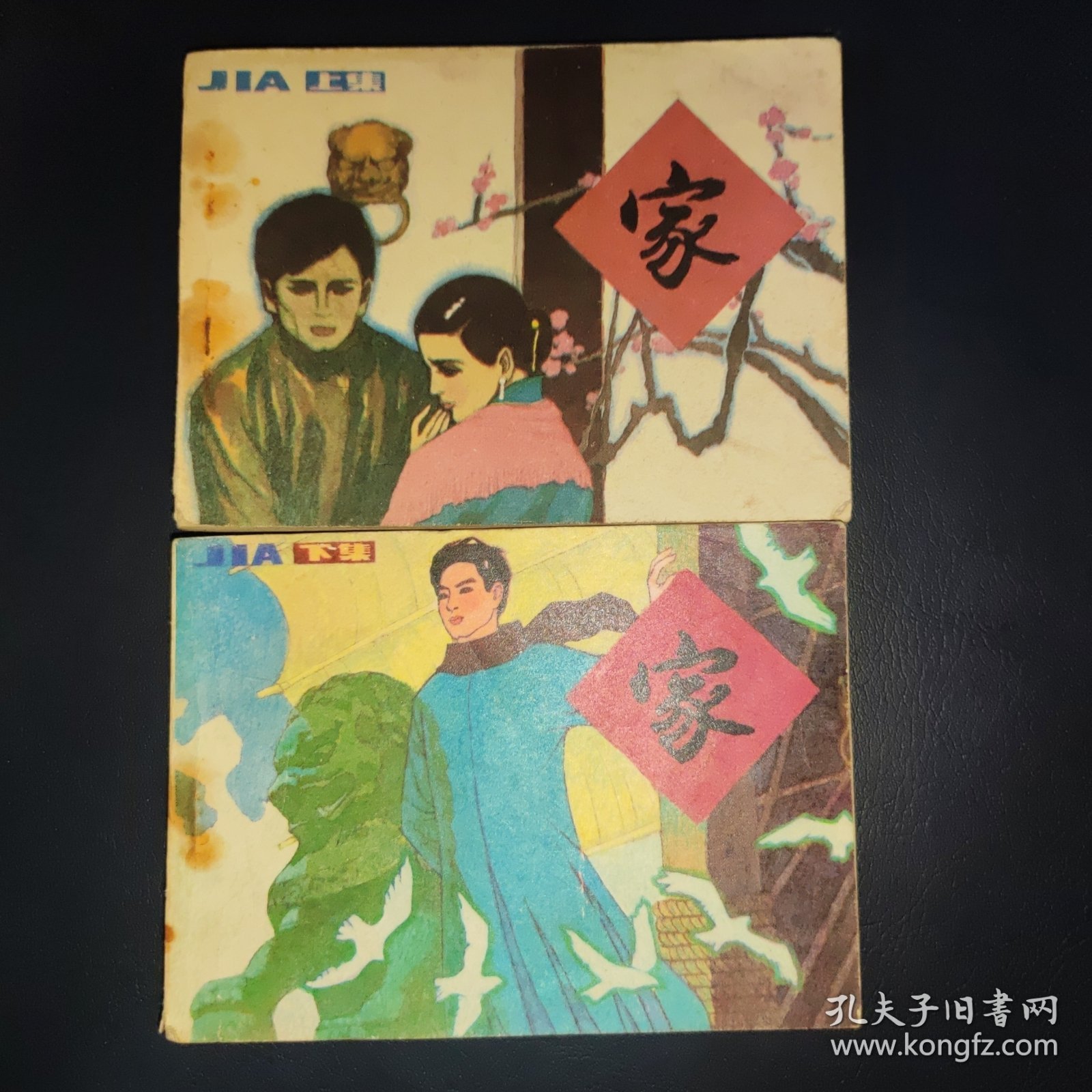 家 （上下 全）