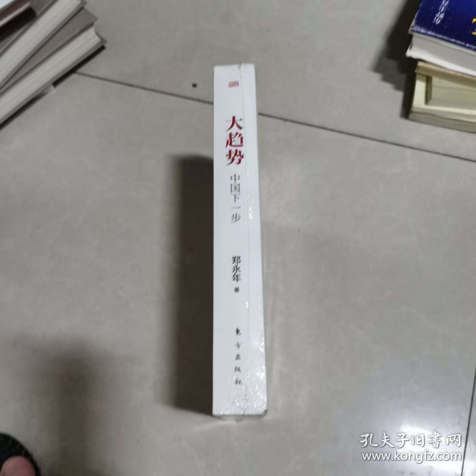 大趋势 中国下一步