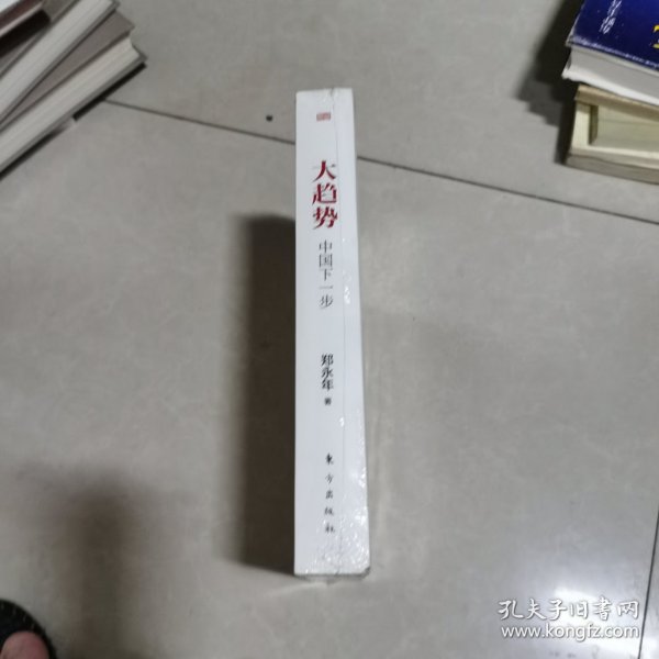 大趋势 中国下一步