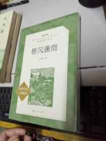 暴风骤雨