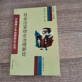 中国青少年犯罪研究丛书：社会治安综合治理新论