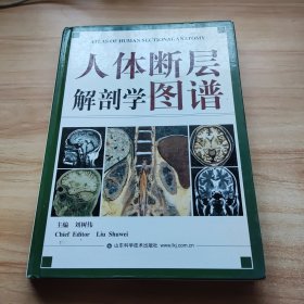 人体断层解剖学图谱