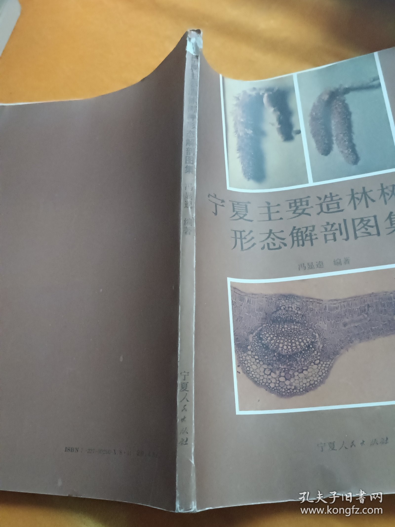 宁夏主要造林树种形态解剖图集