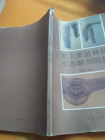 宁夏主要造林树种形态解剖图集