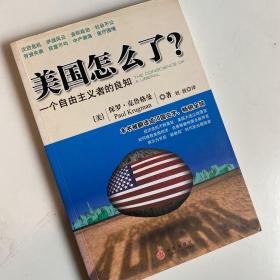 美国怎么了？：一个自由主义者的良知