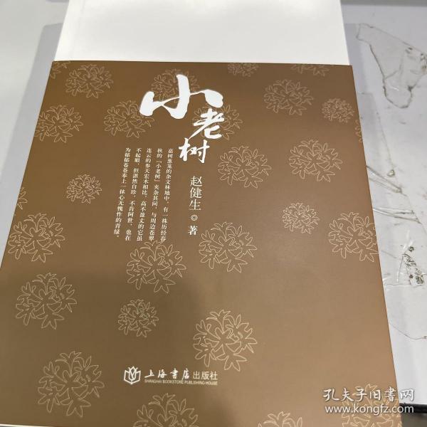 小老树:赵健生杂文选