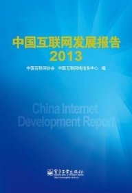 中国互联网发展报告（2013）
