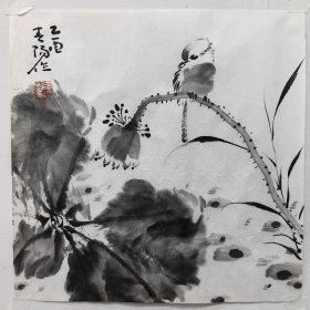 荷花老软片，霍春阳，尺寸34X34公分