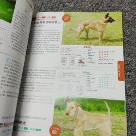 世界名犬大图鉴