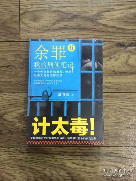 余罪6：我的刑侦笔记