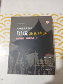 风雨沧桑九百年图说西安碑林（古代建筑·石刻艺术 珍藏版）