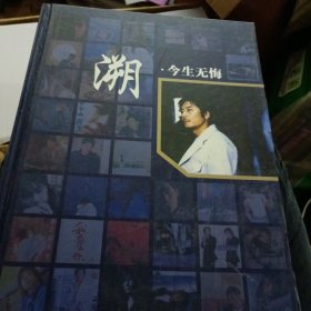 溯.今生无悔-----王杰乐坛出道二十年纪念【铜版纸 彩印】