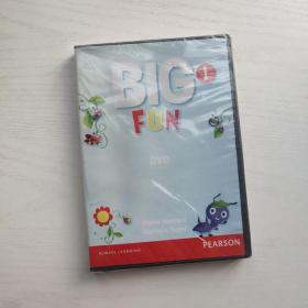 BIG FUN 1 DVD（塑封未开）