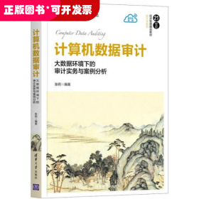 计算机数据审计(大数据环境下的审计实务与案例分析21世纪经济管理精品教材)/会计学系列