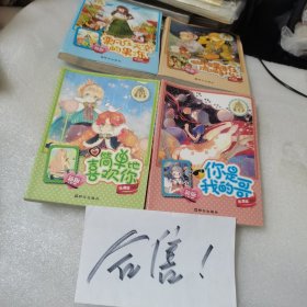 阳光姐姐嘉年华：简单地喜欢你（新版）