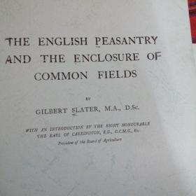 the English peasantry and the enclosure of common field