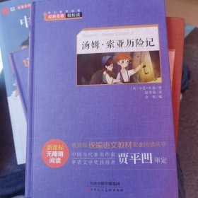 汤姆·索亚历险记