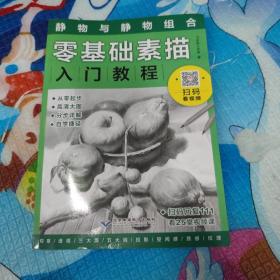 零基础素描入门教程：静物与静物组合