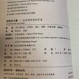 阴影的力量：在动荡世界找寻爱