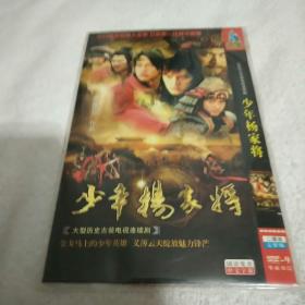 少年杨家将DVD2碟