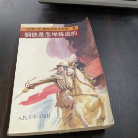 钢铁是怎样炼成的