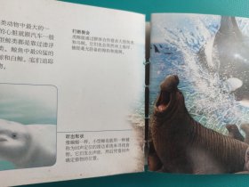 口袋图书馆 :危险动物