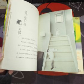 猫火车，或朵朵的一朵花儿（一版一印）如图 微瑕