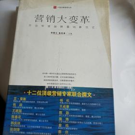 营销大变革：开创中国战略营销新范式