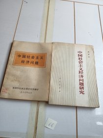 中国社会主义经济问题研究 中国社会主义经济问题（两本合售）