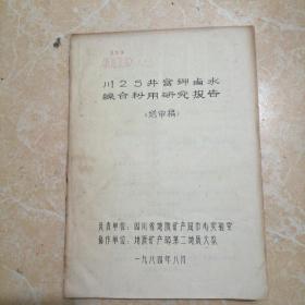 川25井富钾卤水综合利用研究报告