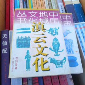 滇云文化
