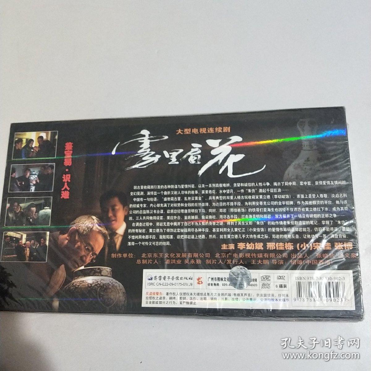 大型电视连续剧 雾里看花
