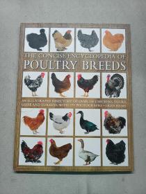 POULTRY  BREEDS